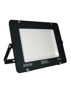 Bael Pointer Pro 300... 2